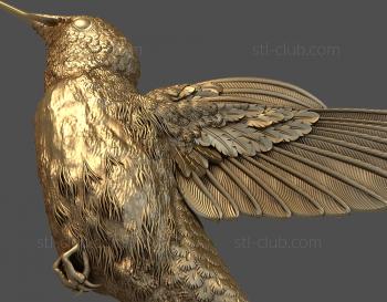 3D model Flying hummingbird (STL)